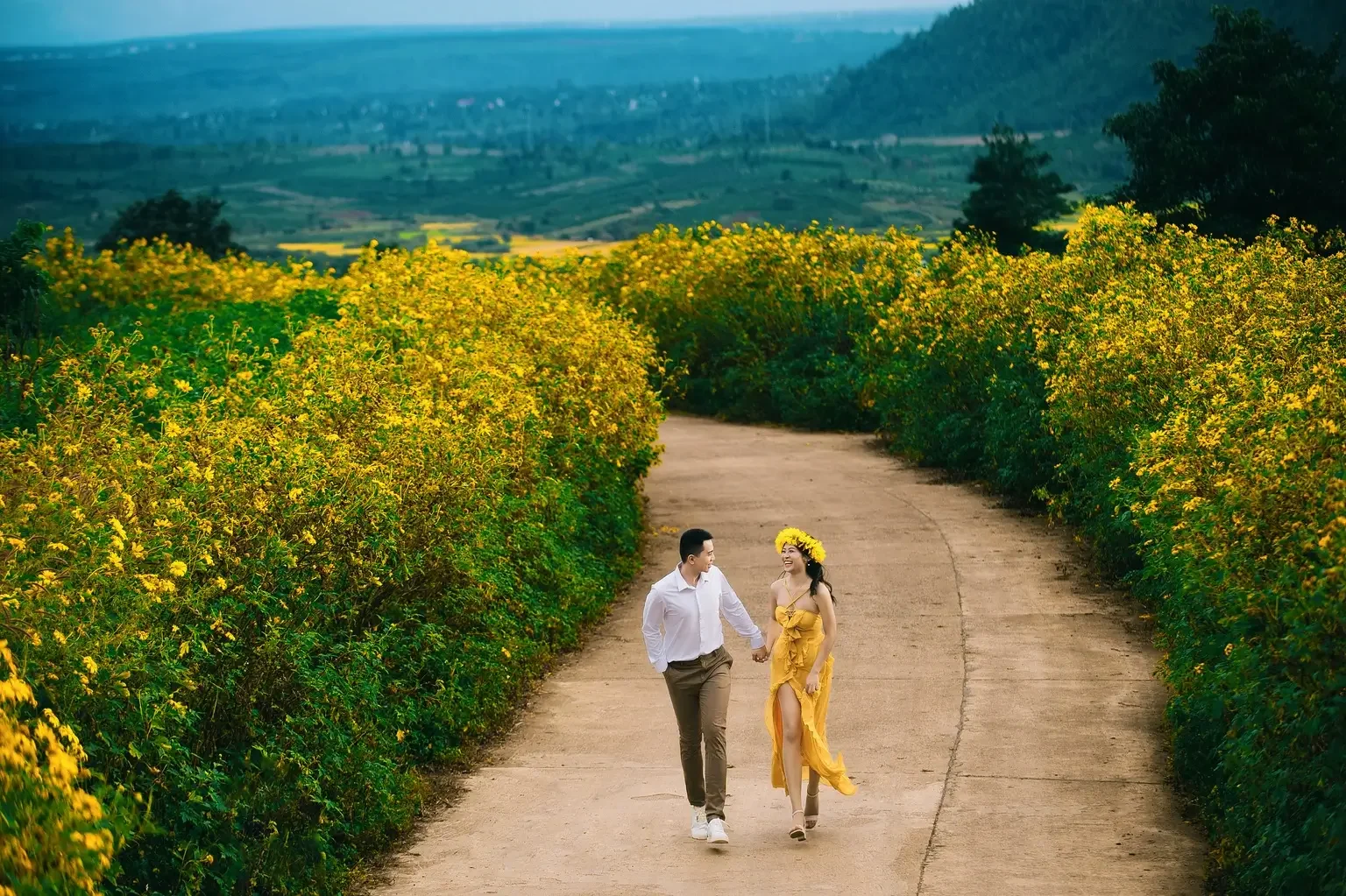 Chinh Chau walk on the road with beautiful yellow flower on both sides