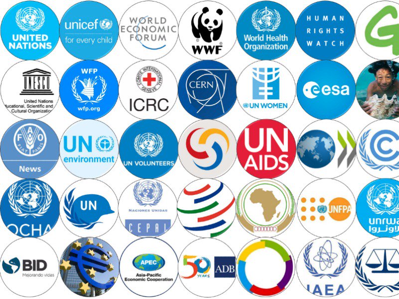 What is the role of international organizations—and, more generally, of international institutions—in the performance of collective tasks?