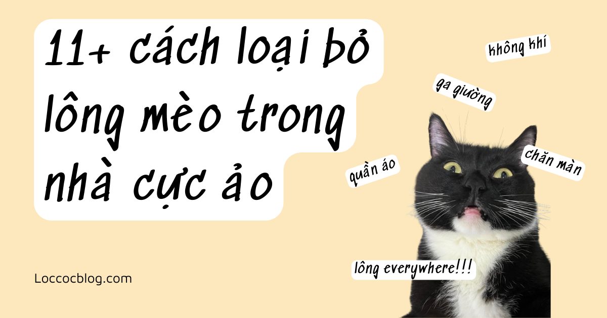 Cách làm sạch lông mèo hiệu quả trên quần áo, chăn ga và trong không khí