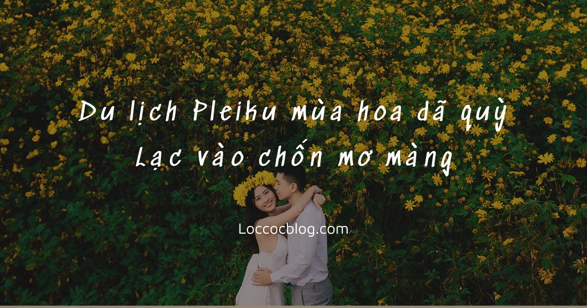 Du lịch Gia Lai mùa hoa dã quỳ tháng mấy đẹp nhất?